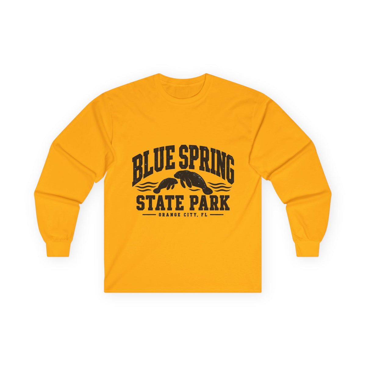 Blue Spring State Park Manatee Design- Destination Logo