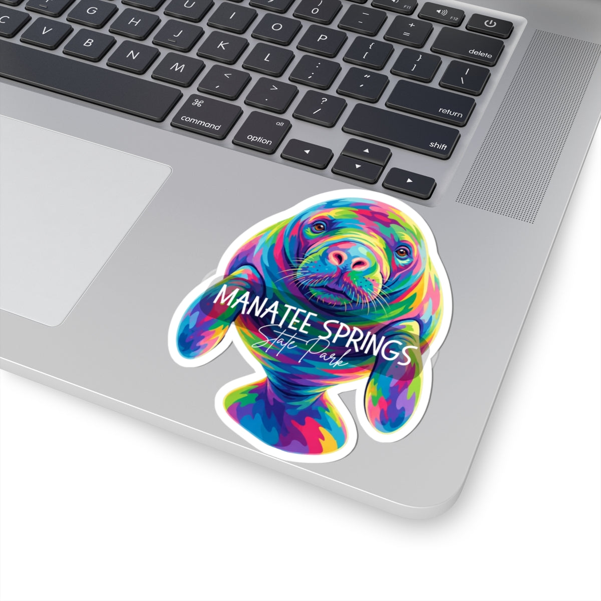 Manatee Springs Colorful Manatee Sticker — Kiss-Cut Vinyl Decal