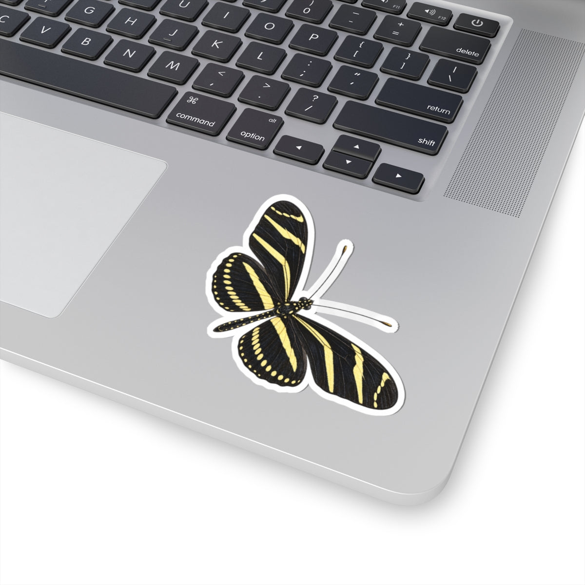 Zebra Longwing Butterfly Sticker — Realistic Decal
