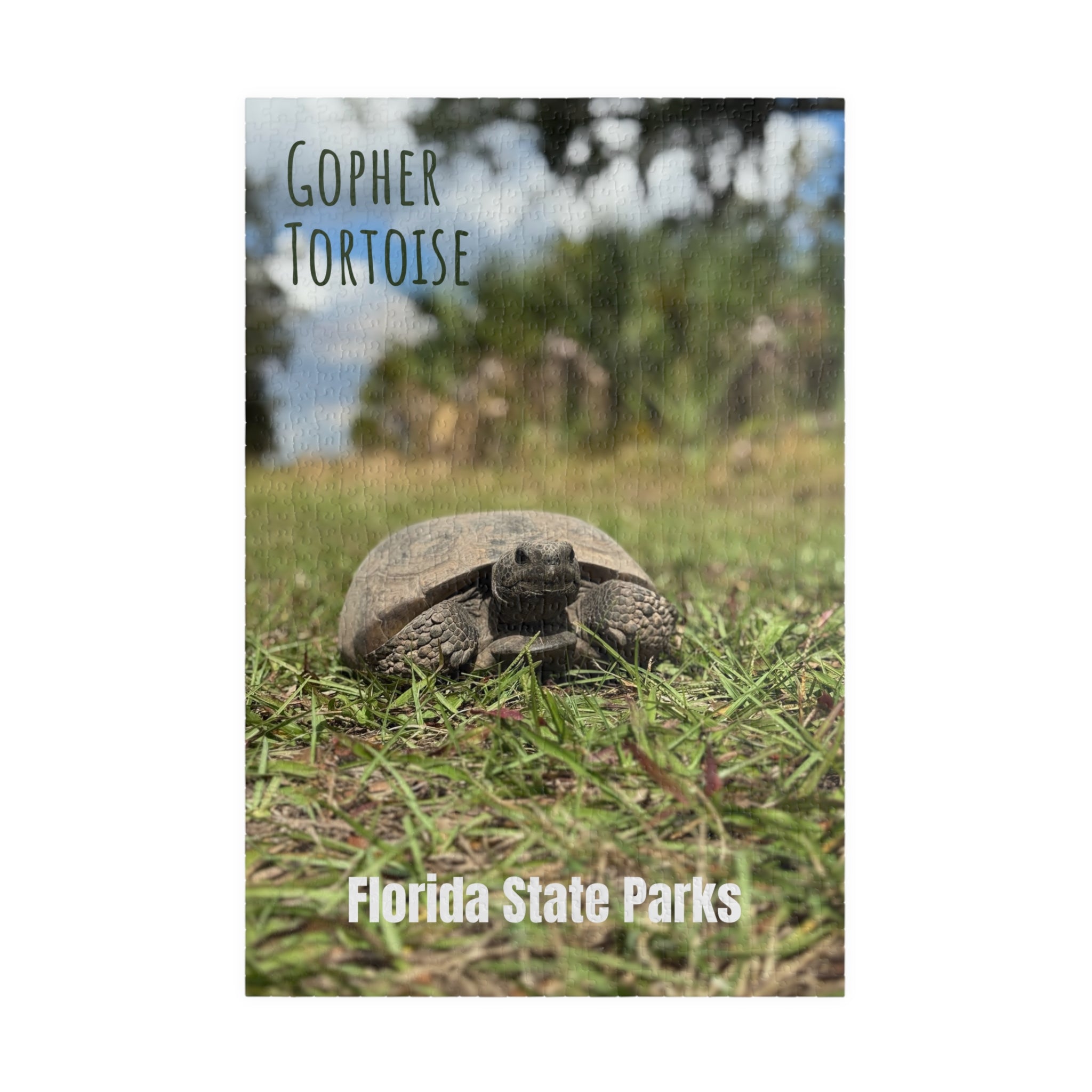 Gopher Tortoise Puzzle - Customizable 520/1014-Pieces