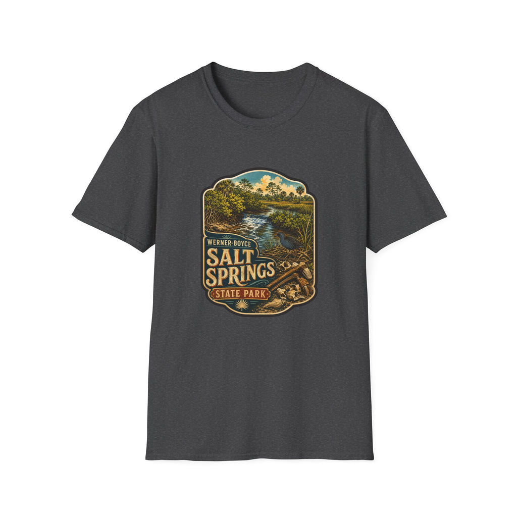 Werner Boyce Salt Springs — Retro Tee