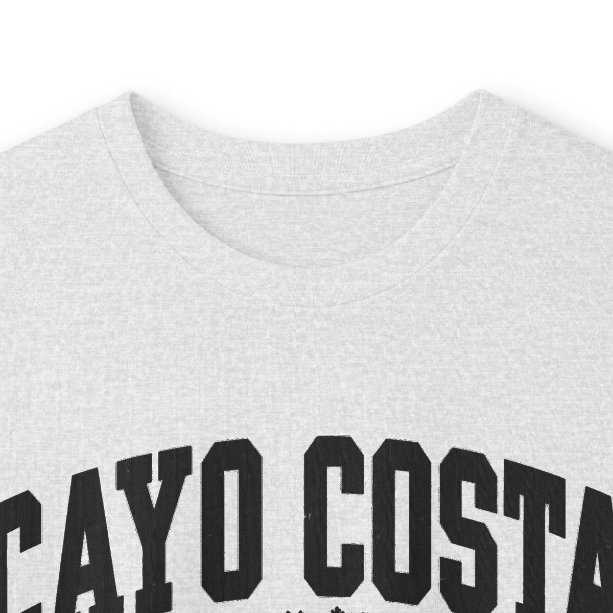 Cayo Costa State Park Vintage Logo- Long Sleeve Tee