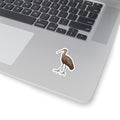 Limpkin Kiss-Cut Sticker — Realistic Wading Bird Decal