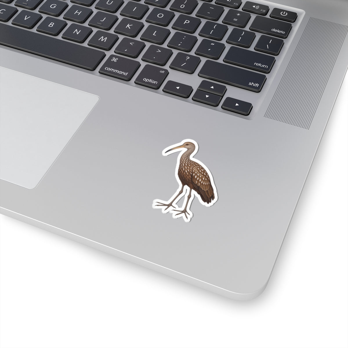Limpkin Kiss-Cut Sticker — Realistic Wading Bird Decal