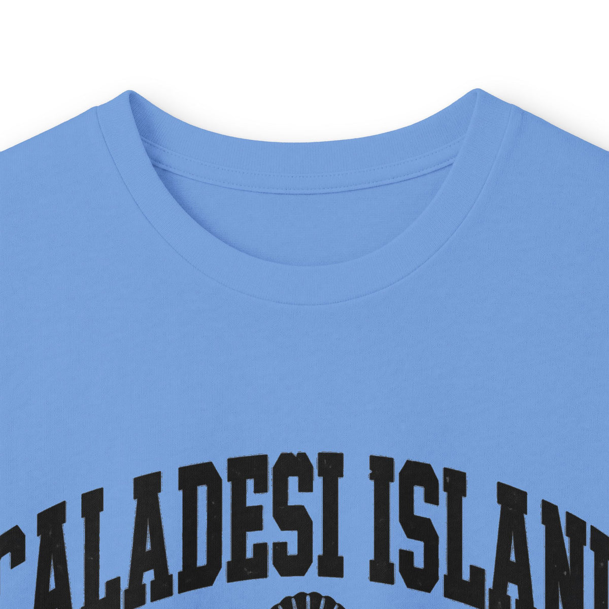 Caladesi Island State Park Vintage Logo- Long Sleeve Tee