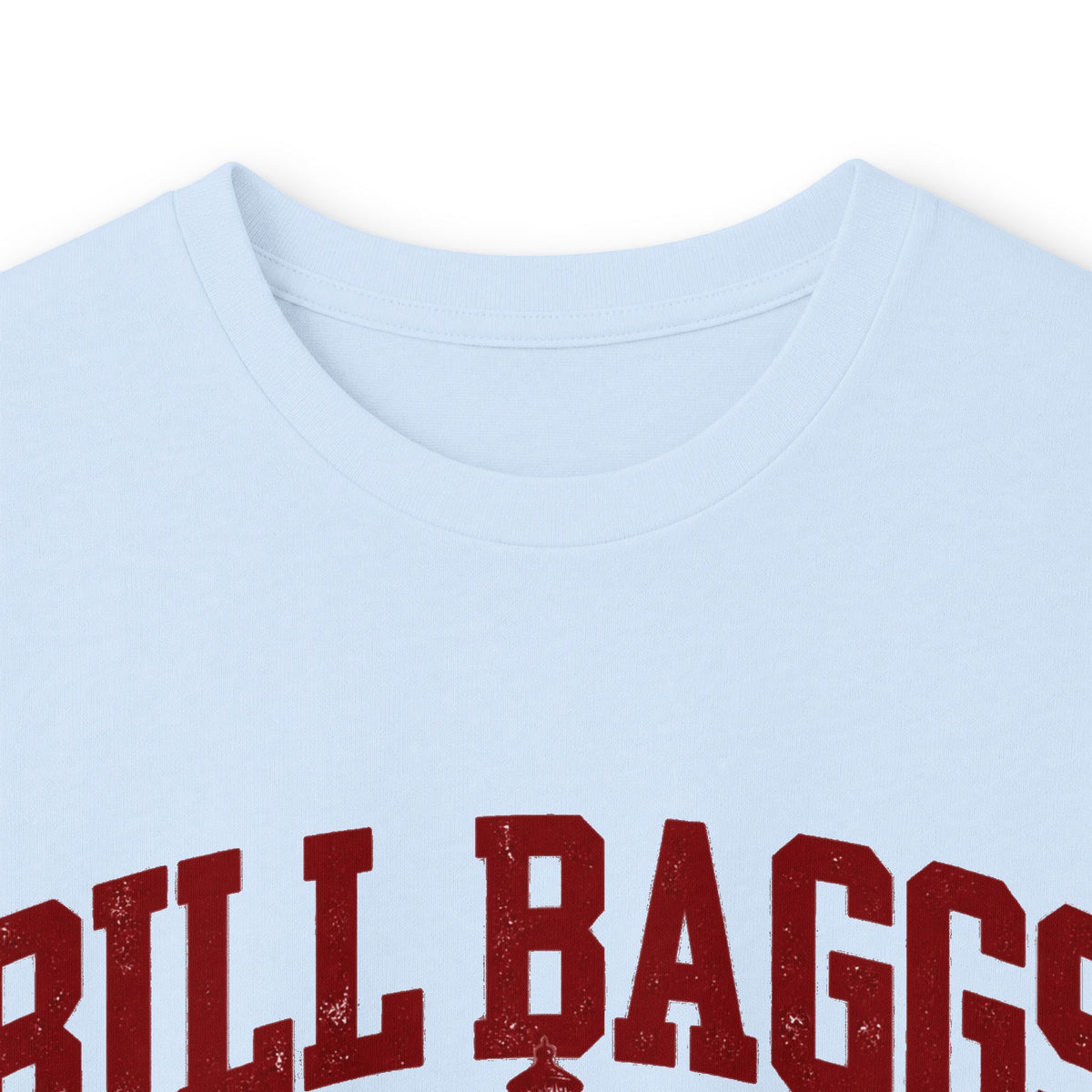 Bill Bags Cape Florida State Park- Destination Logo