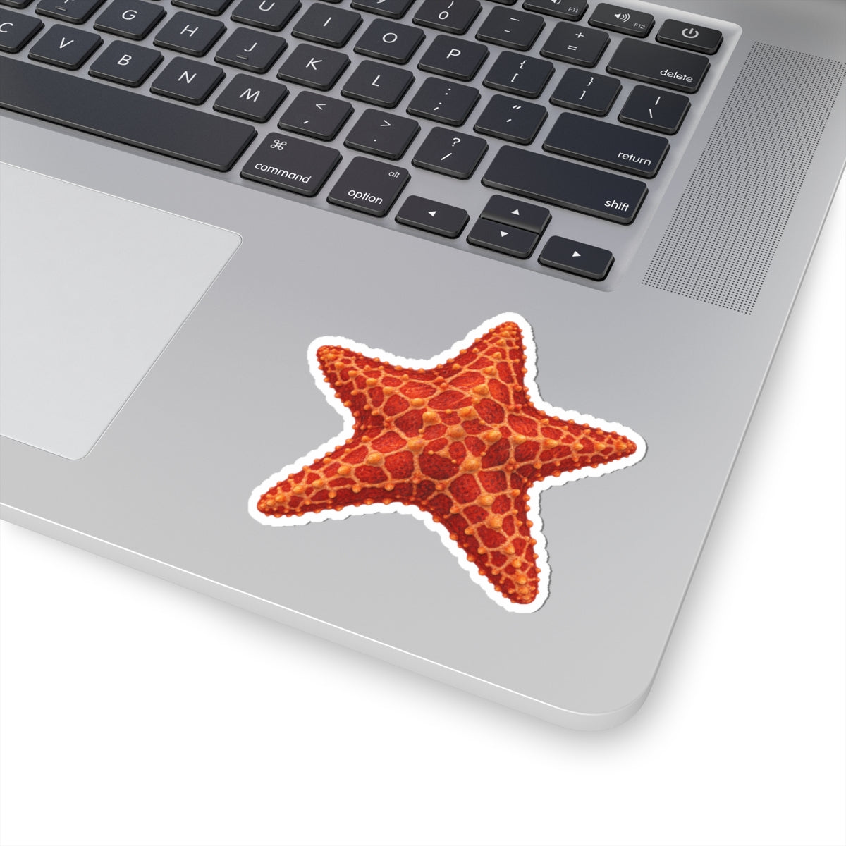 Red Cushion Starfish Kiss-Cut Sticker — Realistic Decal