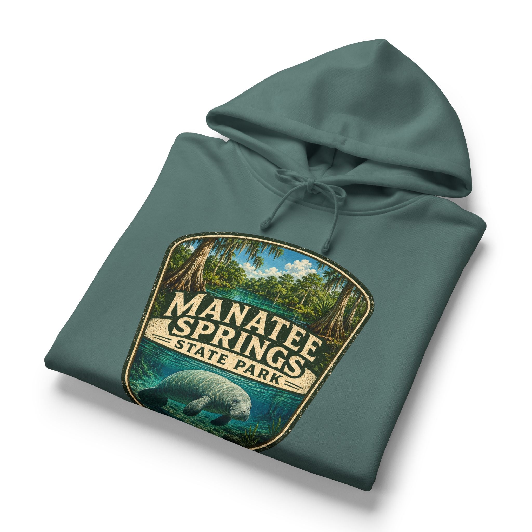 Manatee Springs Hoodie — Vintage Manatee