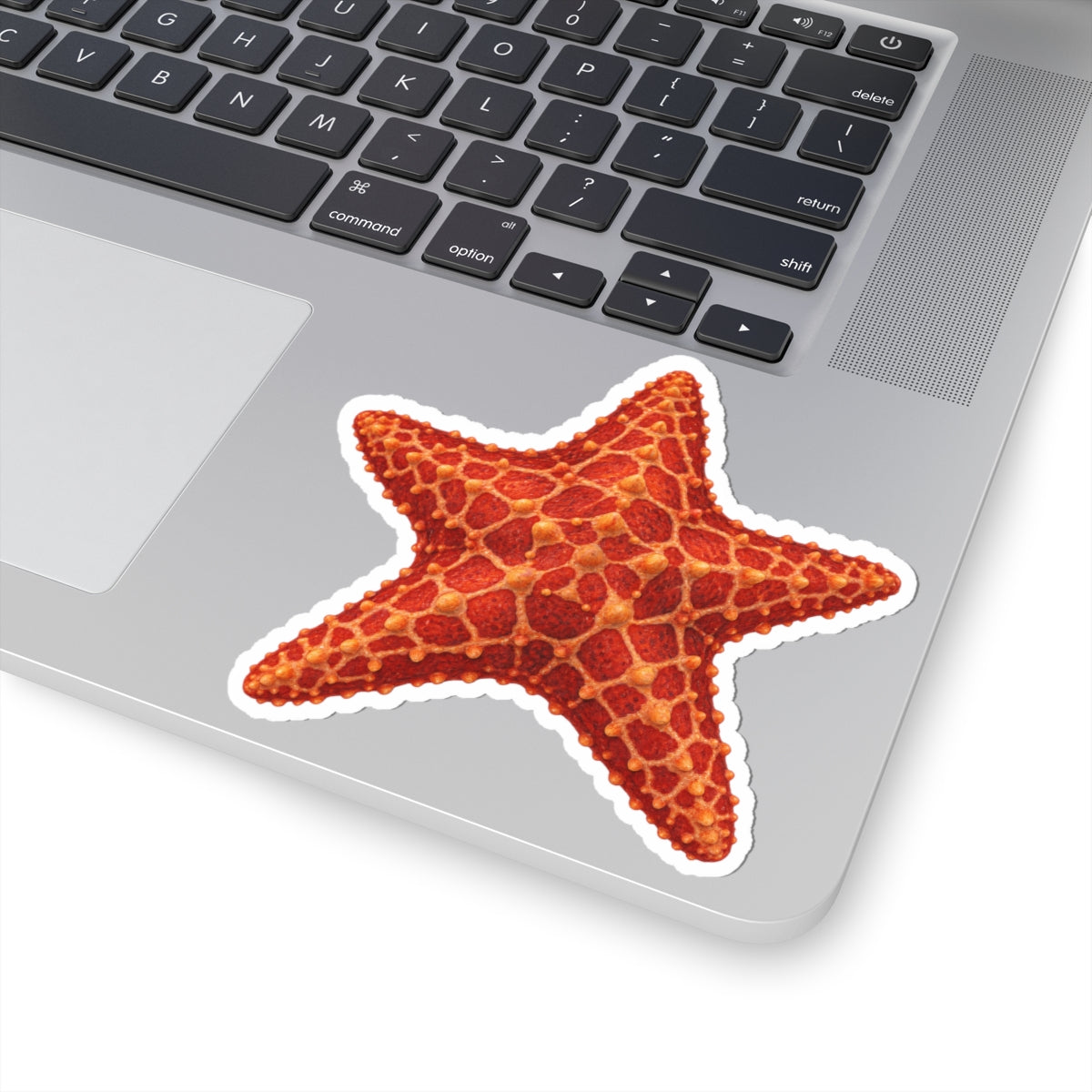 Red Cushion Starfish Kiss-Cut Sticker — Realistic Decal