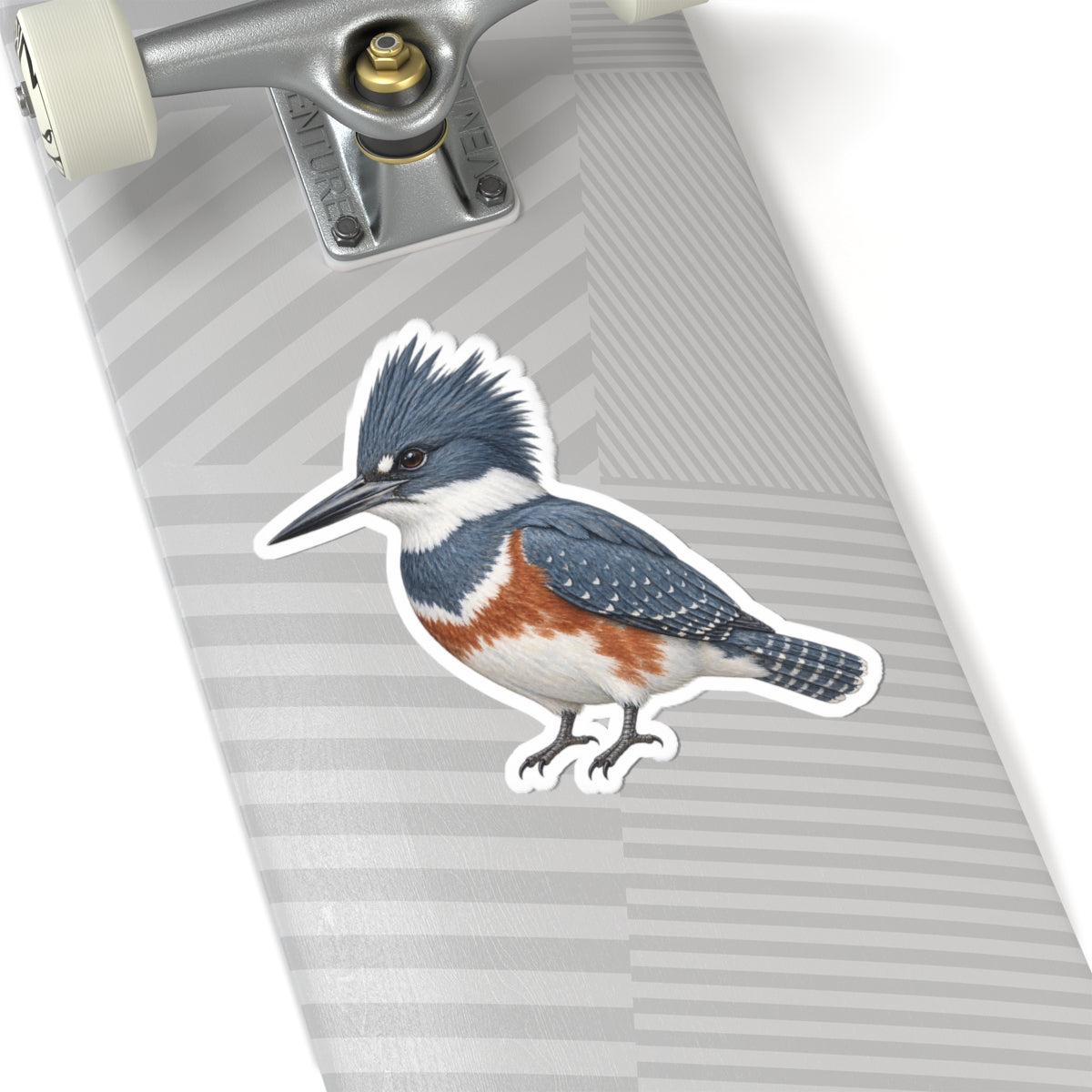 Belted Kingfisher Bird Sticker — Realistic Watercolor Kingfisher Kiss-Cut Vinyl Sticker