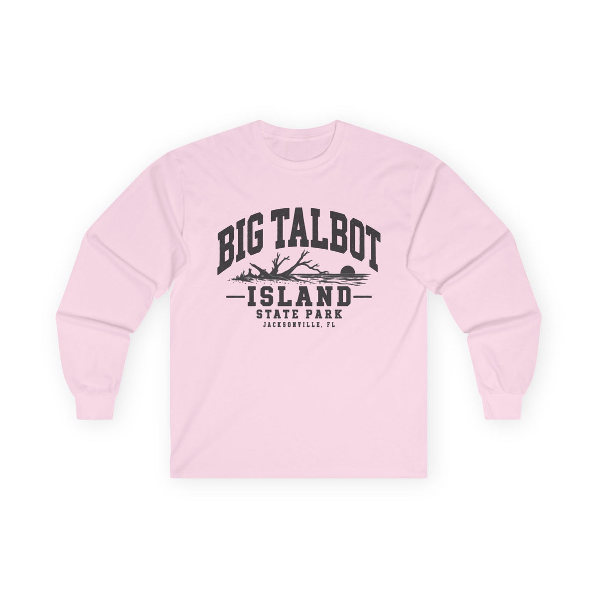 Big Talbot Island State Park - Destination Logo