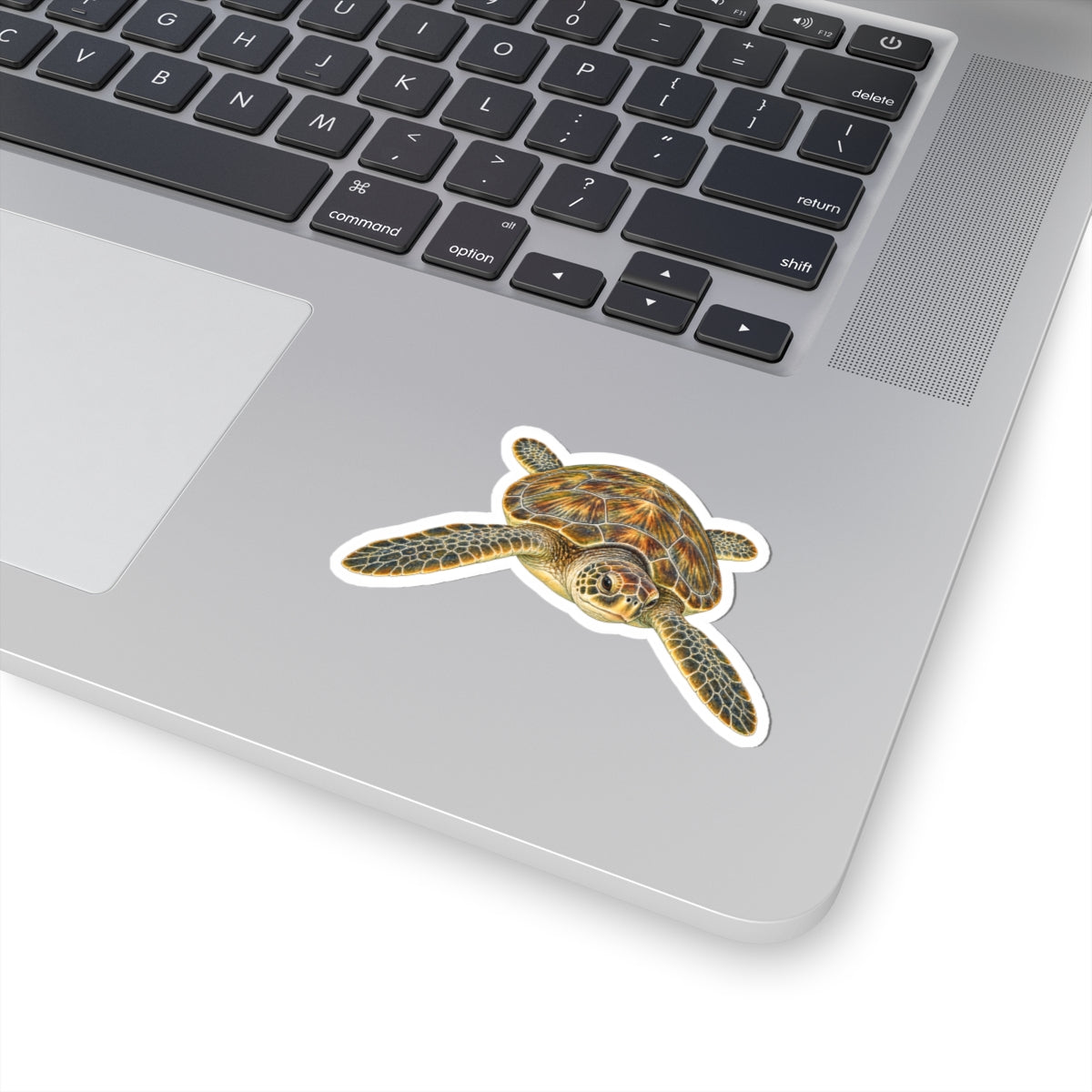 Green Sea Turtle Kiss-Cut Sticker — Realistic Ocean Wildlife Decal
