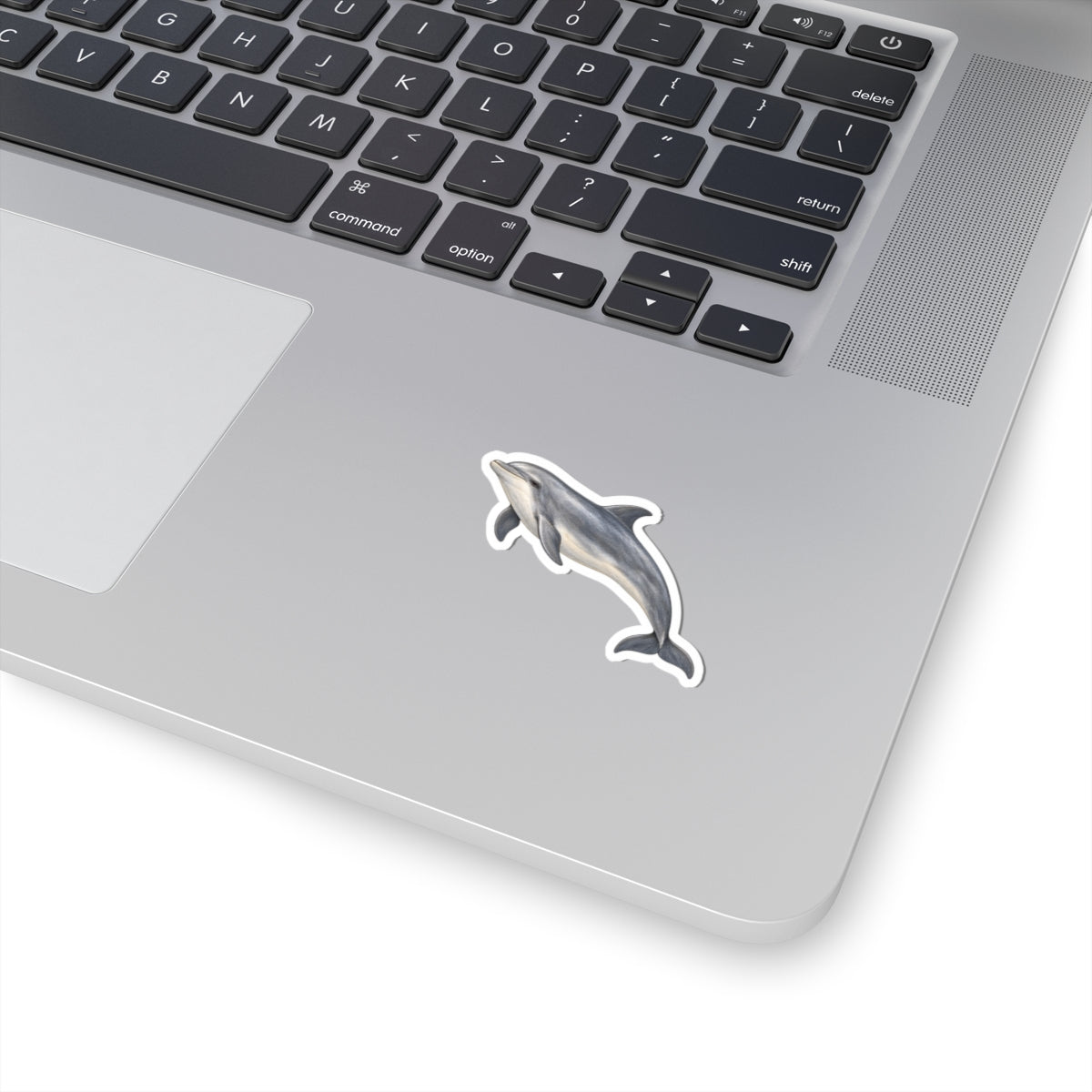 Dolphin Kiss-Cut Sticker — Realistic Decal