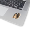 Sitting Sherman Fox Squirrel Sticker — Realistic Decal