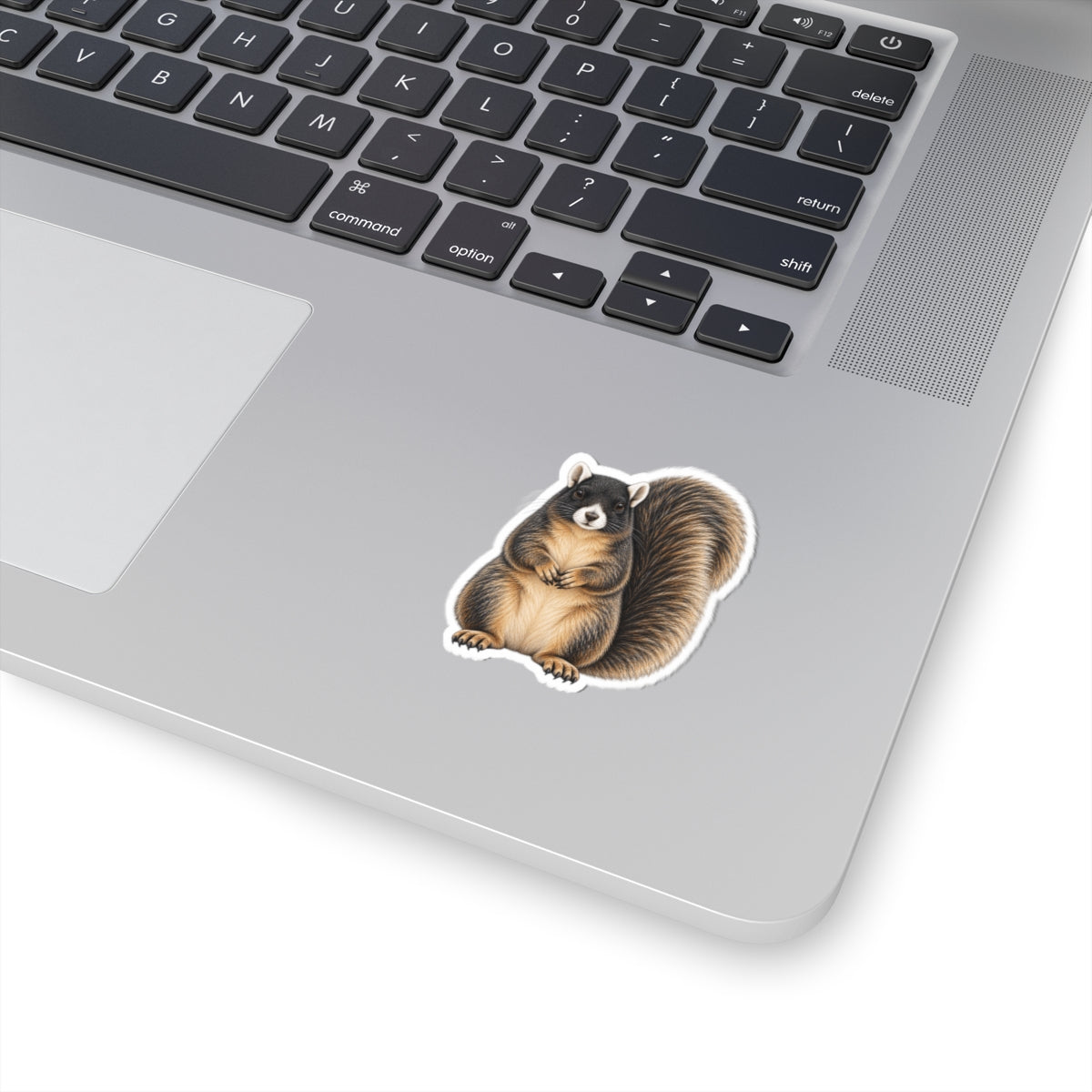 Sitting Sherman Fox Squirrel Sticker — Realistic Decal