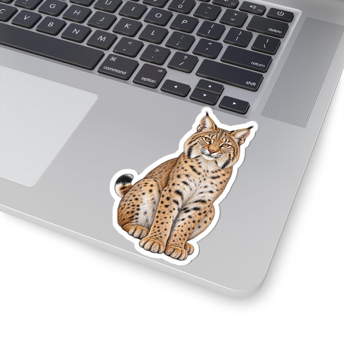 Bobcat Kiss-Cut Sticker — Realistic Decal