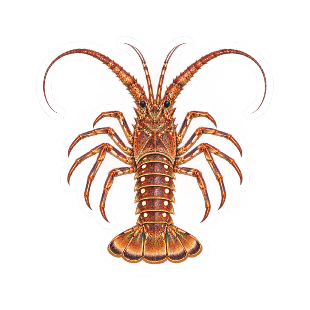 Florida Spiny Lobster Kiss-Cut Sticker — Realistic Decal