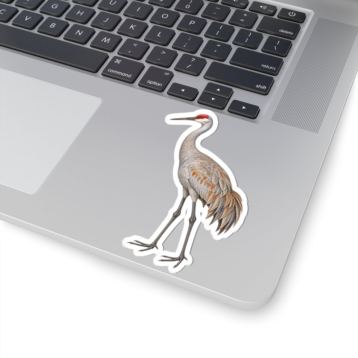 Sandhill Crane Kiss-Cut Sticker — Realistic Decal