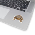 GopherTortoise Kiss-Cut Sticker — Realistic Decal