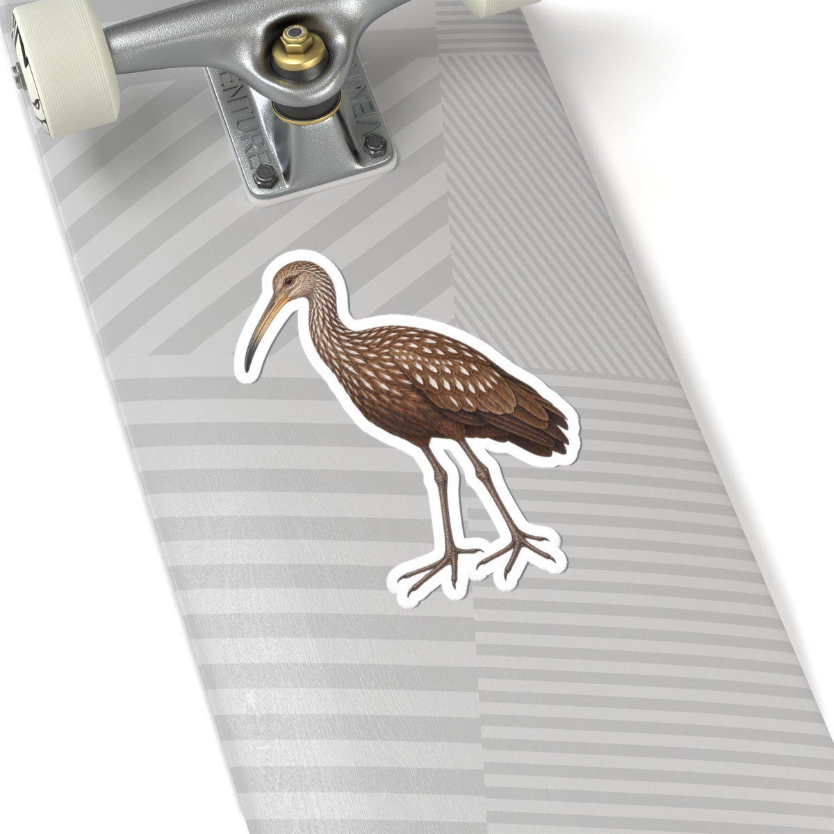 Limpkin Kiss-Cut Sticker — Realistic Wading Bird Decal