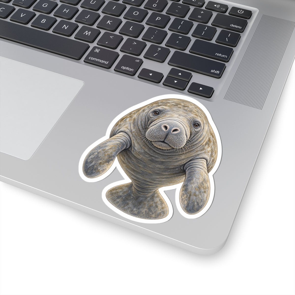 Manatee Kiss-Cut Sticker — Cute Realistic Sea Cow Decal
