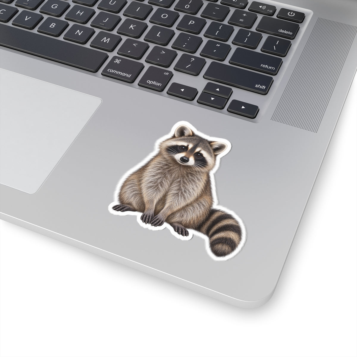 Raccoon Kiss-Cut Sticker — Cute Realistic Decal