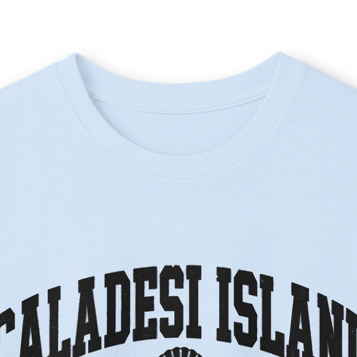 Caladesi Island State Park Vintage Logo- Long Sleeve Tee
