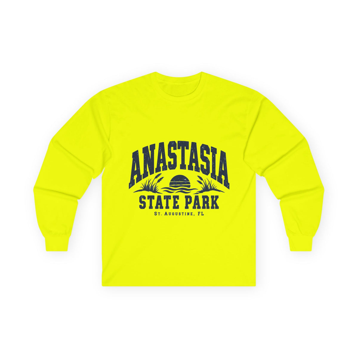 Anastasia State Park- Destination Logo