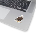 Bald Eagle Kiss-Cut Sticker — Realistic Decal