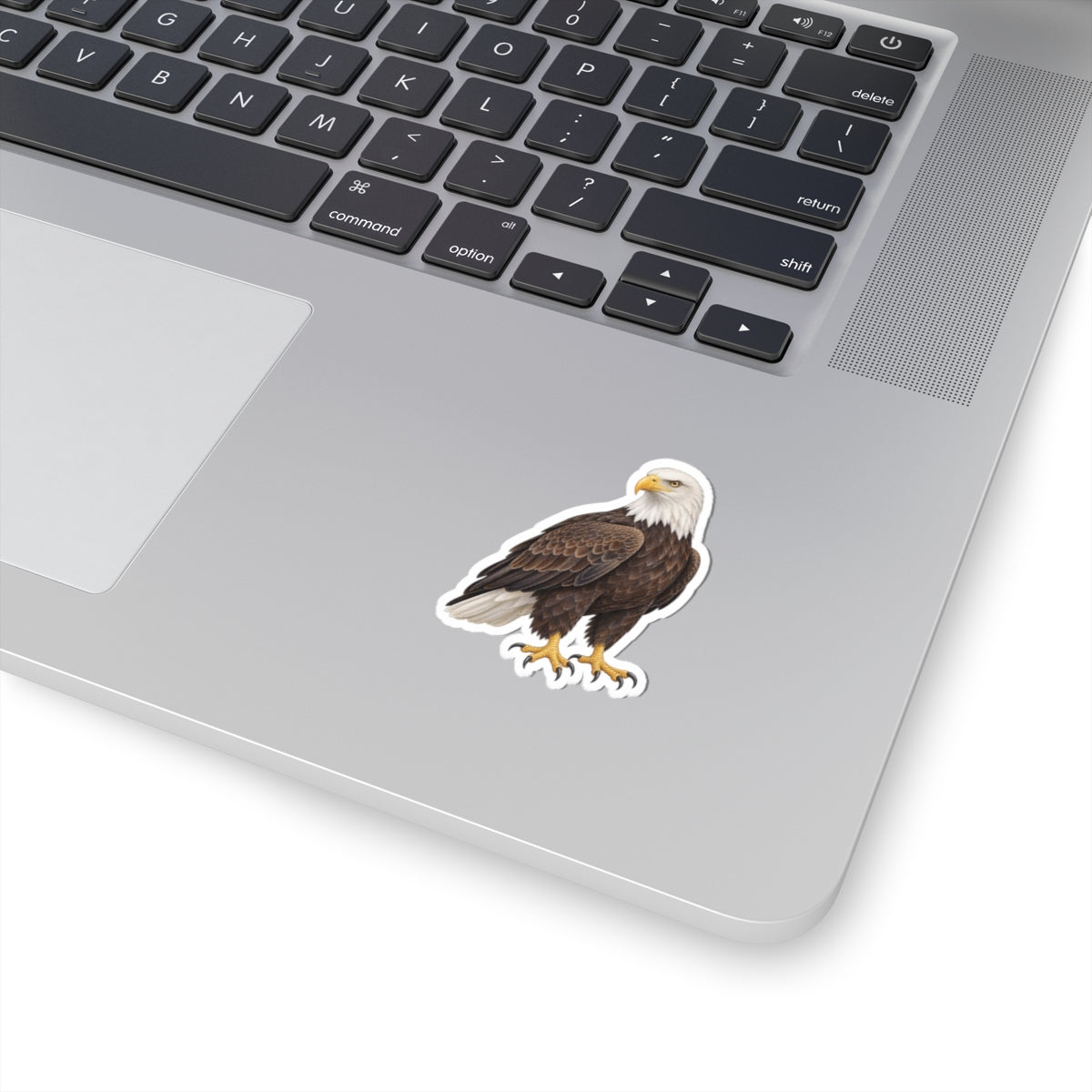 Bald Eagle Kiss-Cut Sticker — Realistic Decal