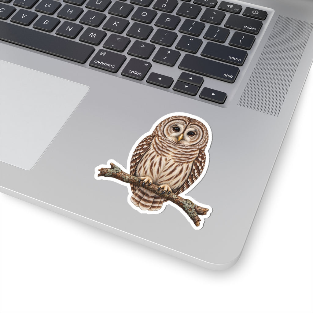 Barred Owl Sticker — Realistic Decal