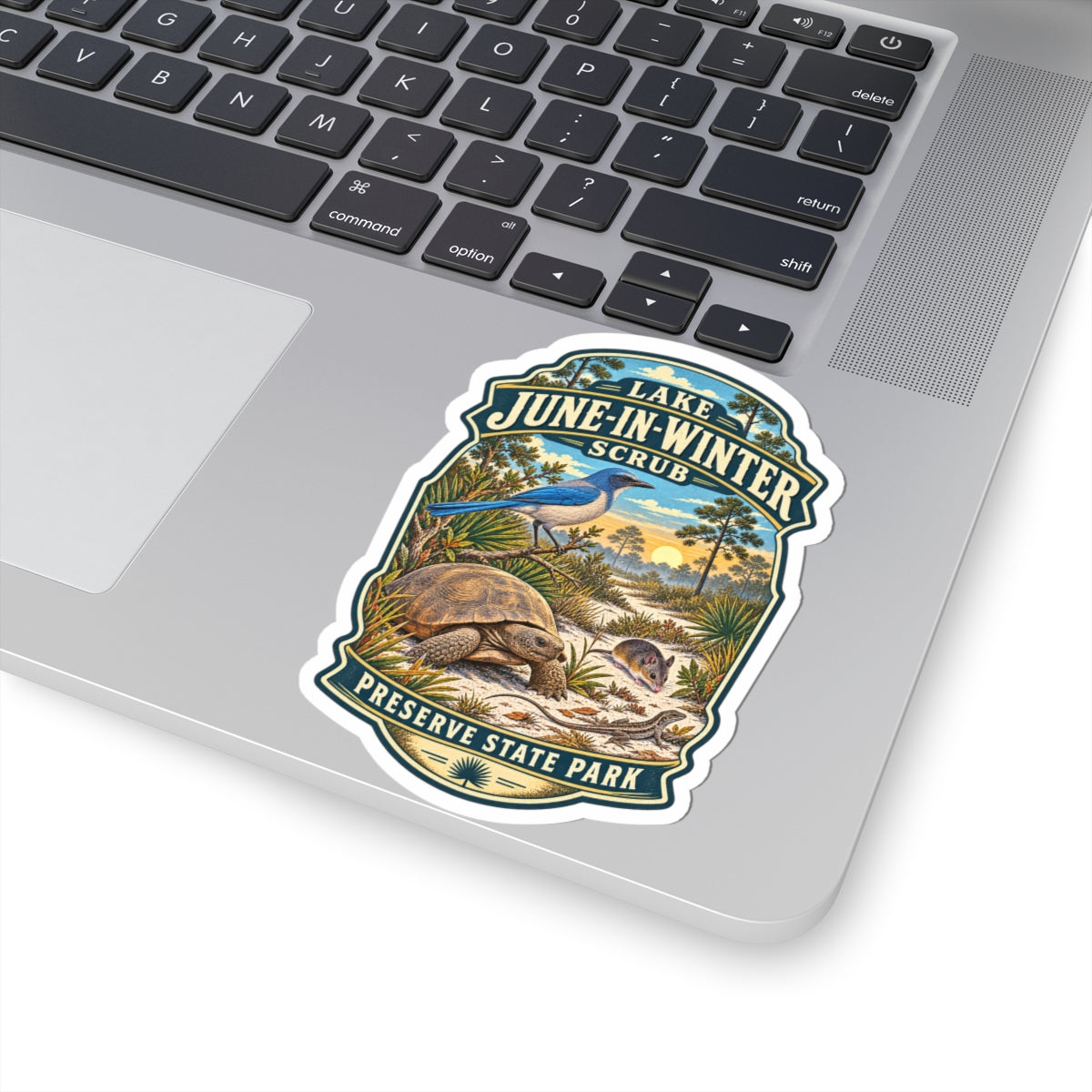 Lake June-in-Winter Scrub State Park Sticker — Vintage Kiss-Cut Sticker