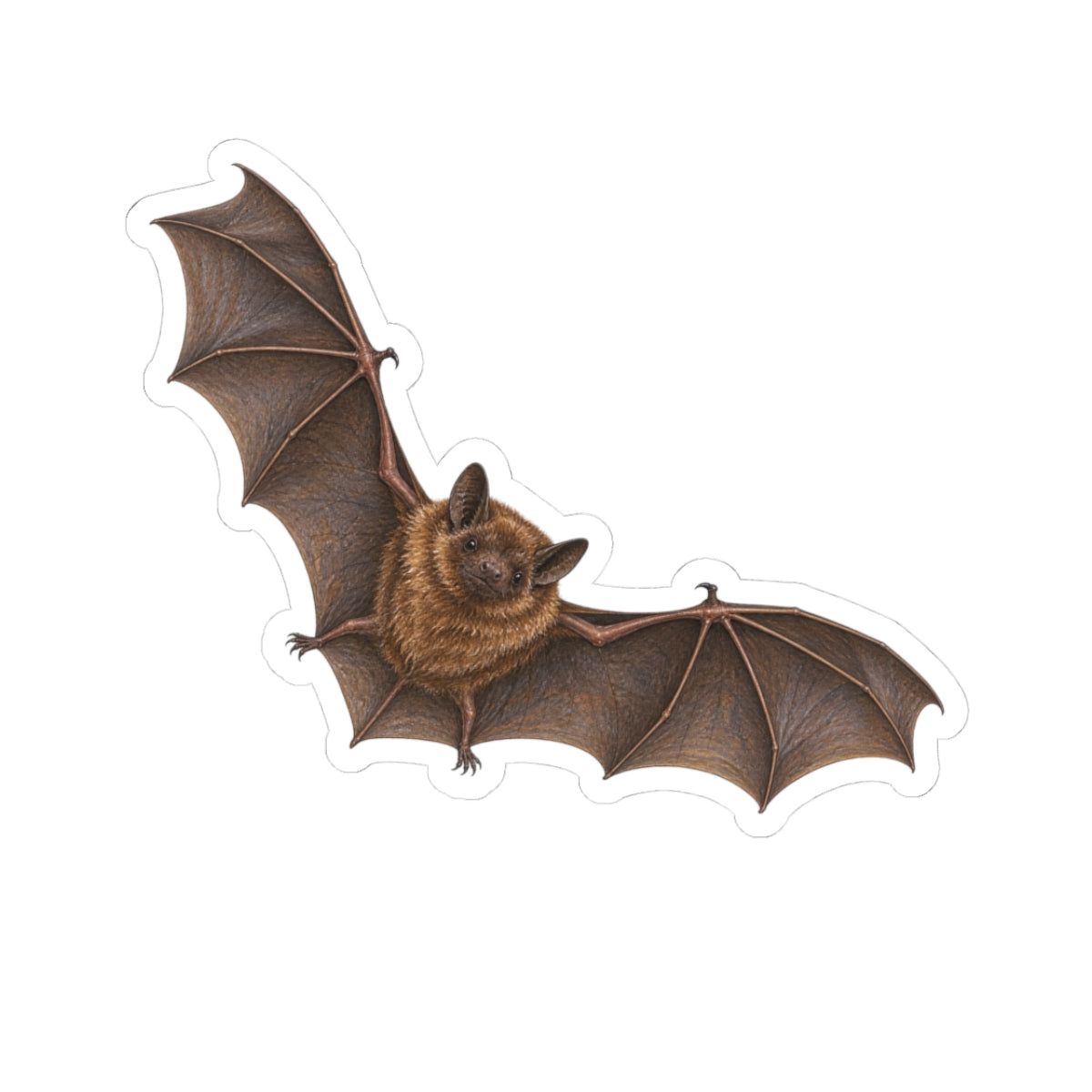 Flying Brown Bat Sticker — Realistic Decal