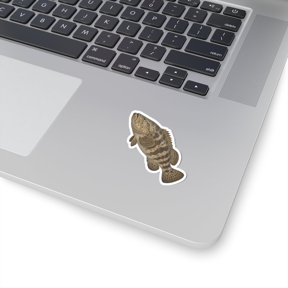 Goliath Grouper Kiss-Cut Sticker — Realistic Decal