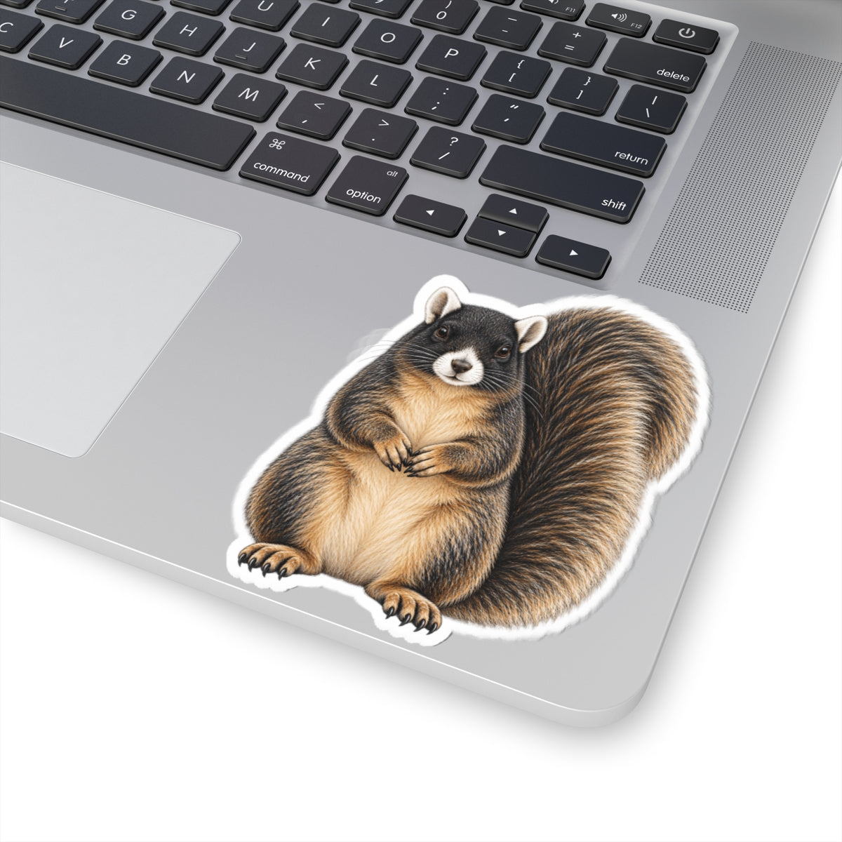Sitting Sherman Fox Squirrel Sticker — Realistic Decal
