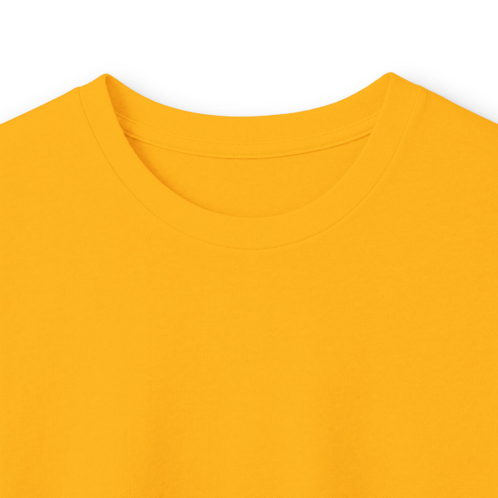 Cayo Costa State Park Vintage Logo- Long Sleeve Tee