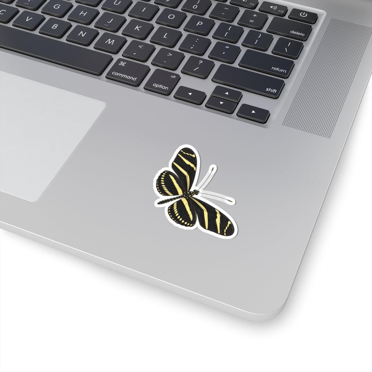 Zebra Longwing Butterfly Sticker — Realistic Decal