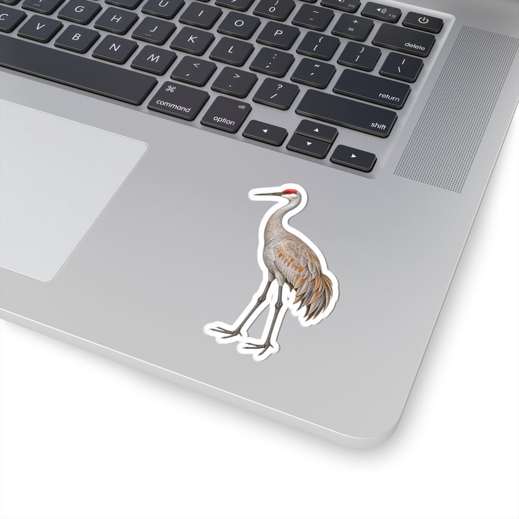 Sandhill Crane Kiss-Cut Sticker — Realistic Decal