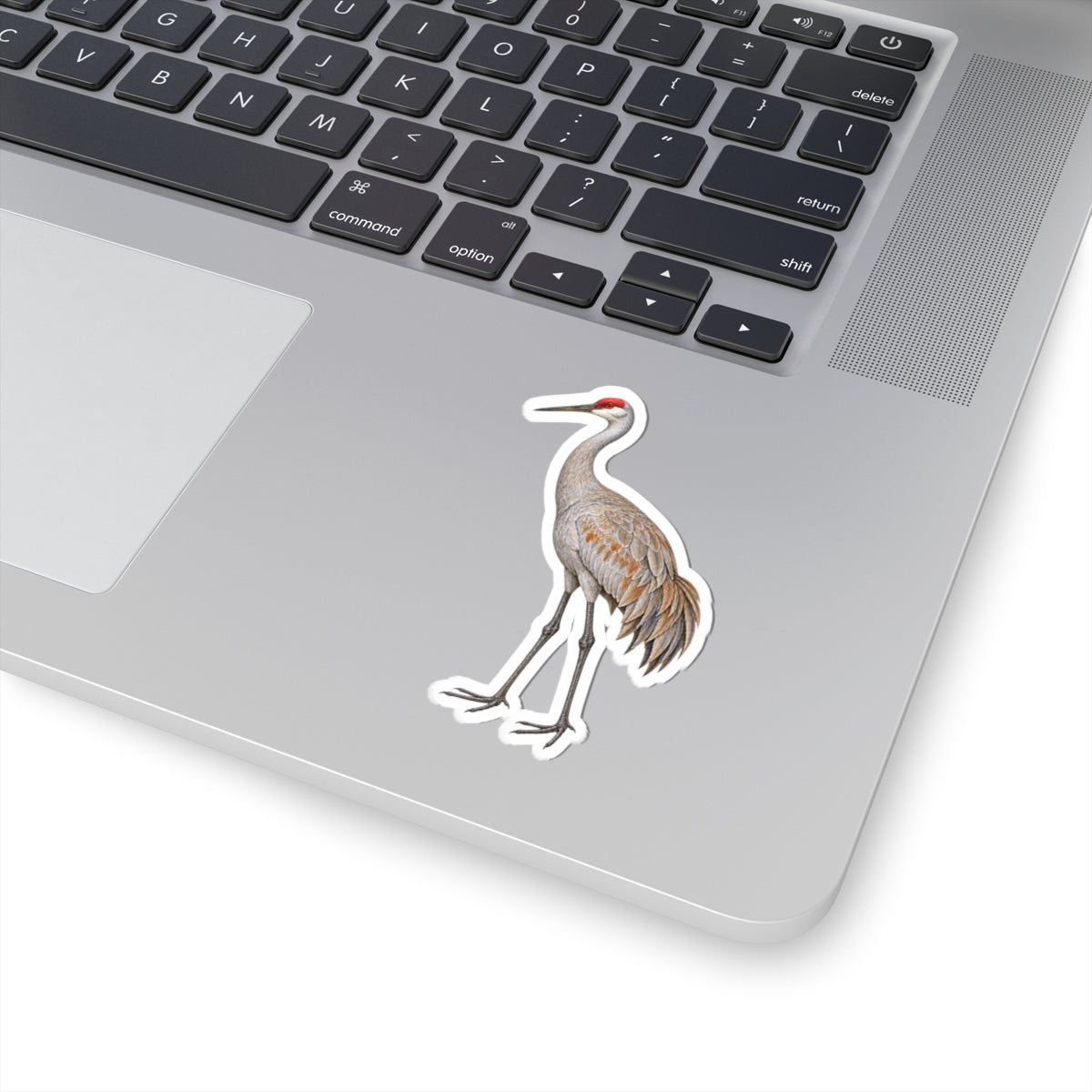 Sandhill Crane Kiss-Cut Sticker — Realistic Decal