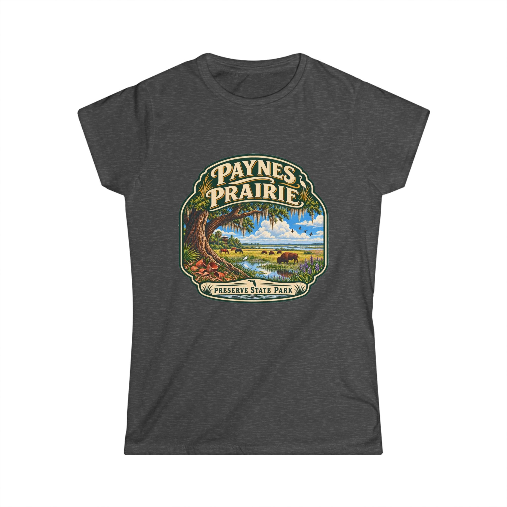 Paynes Prairie- Vintage Tee