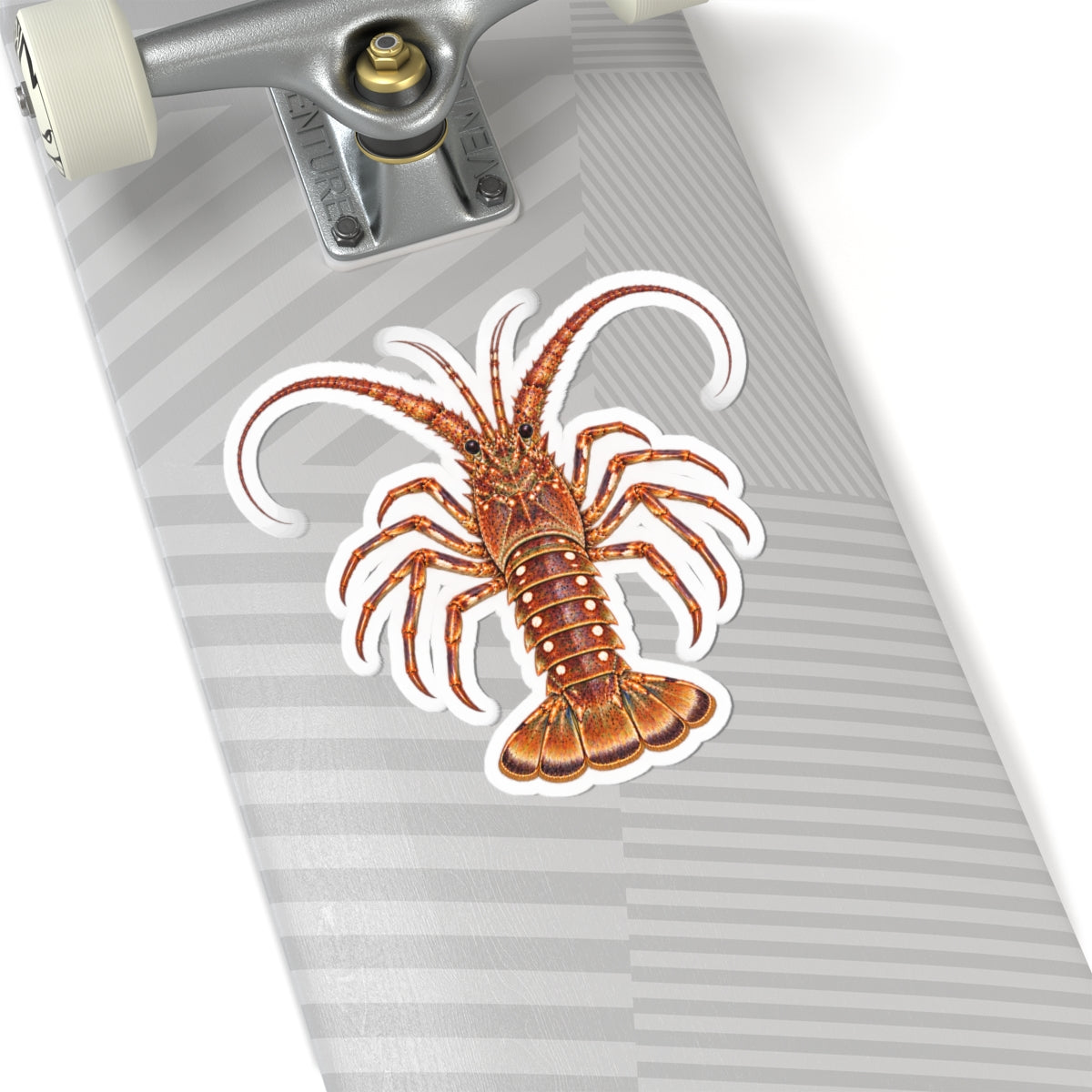Florida Spiny Lobster Kiss-Cut Sticker — Realistic Decal