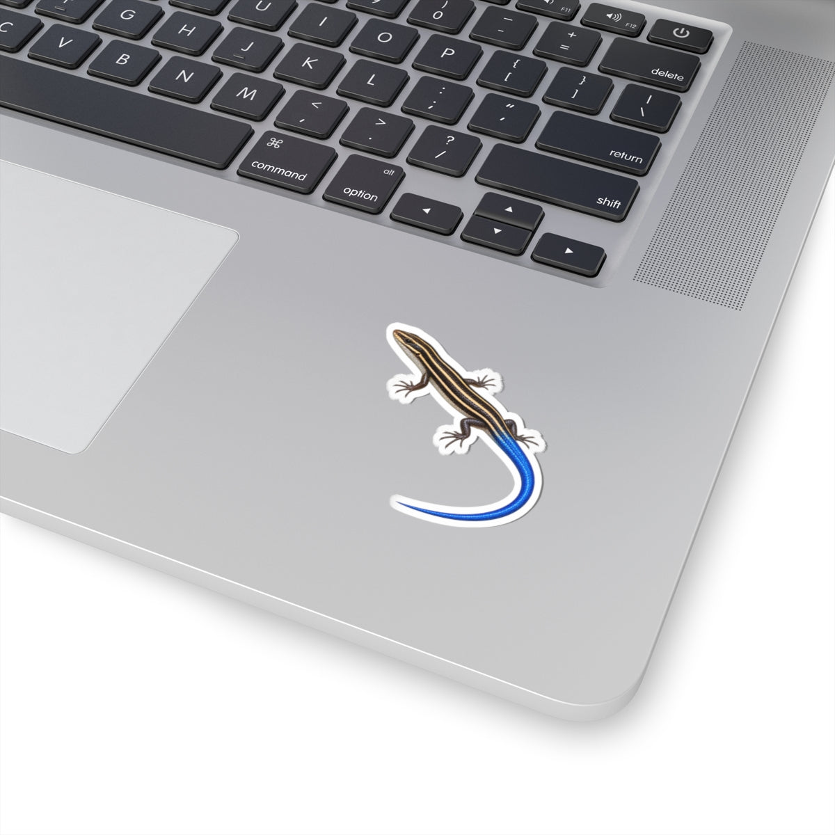 Southeastern Five-Lined Skink Sticker — Realistic Decal