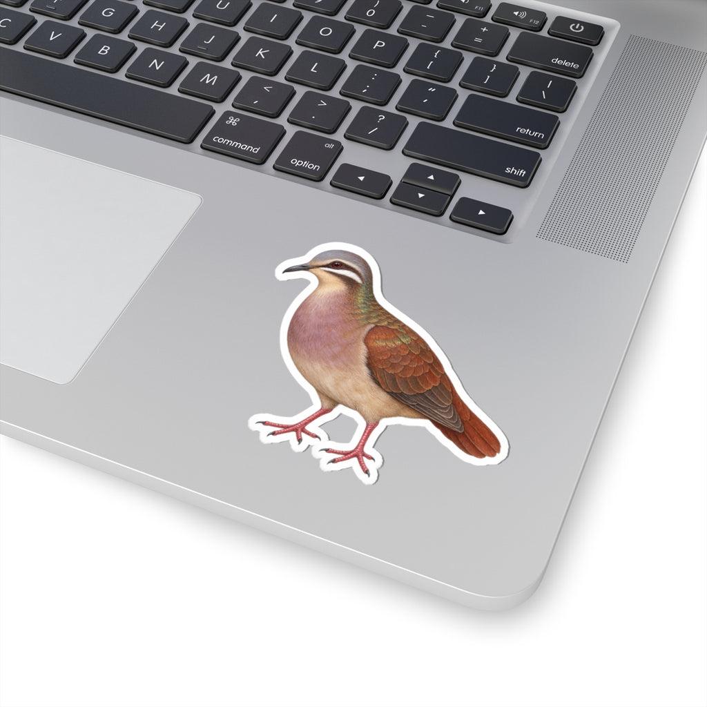 Key West Quail-Dove Kiss-Cut Sticker — Realistic Decal