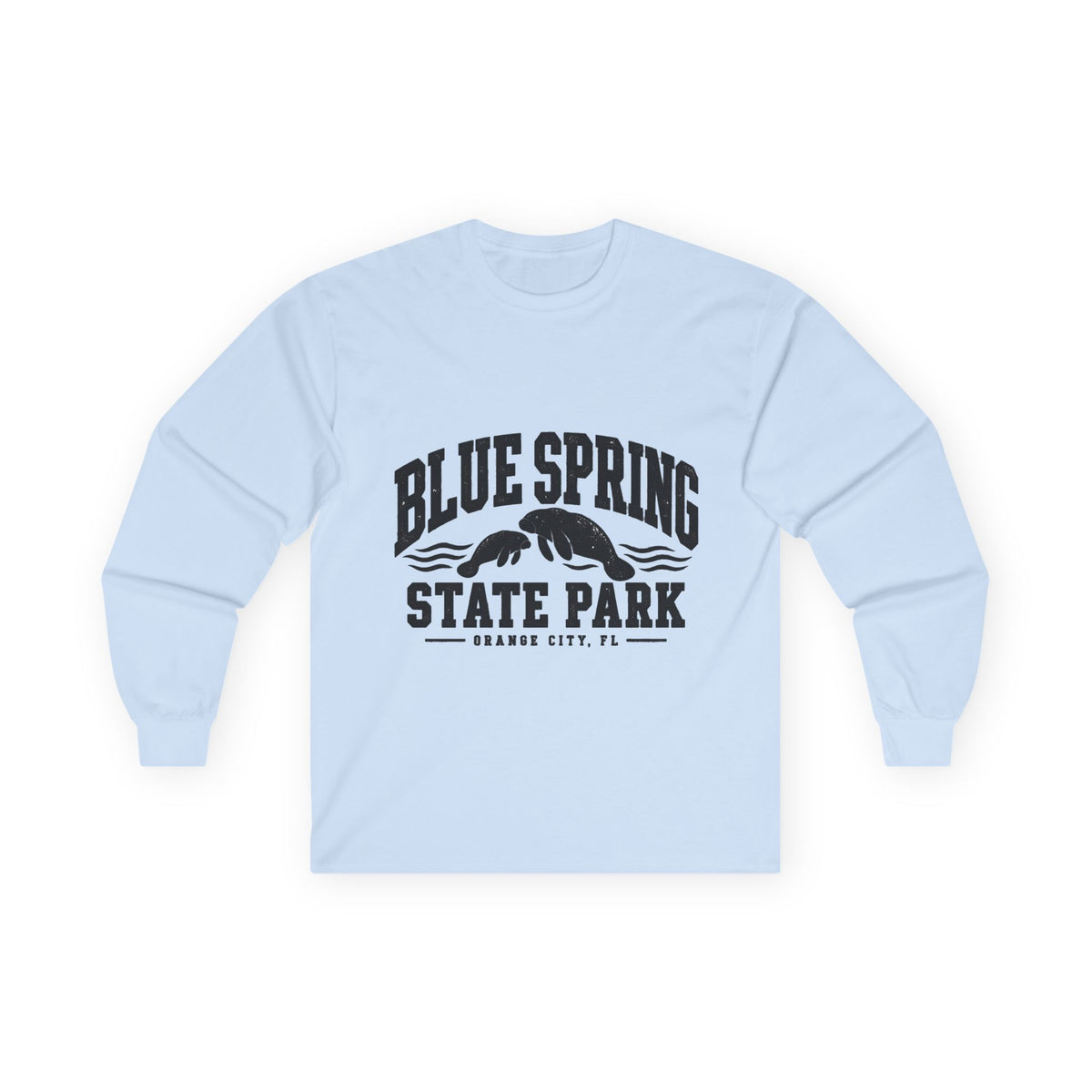 Blue Spring State Park Manatee Design- Destination Logo