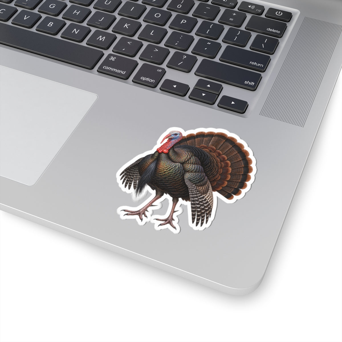 Wild Osceola Turkey Sticker — Realistic Decal