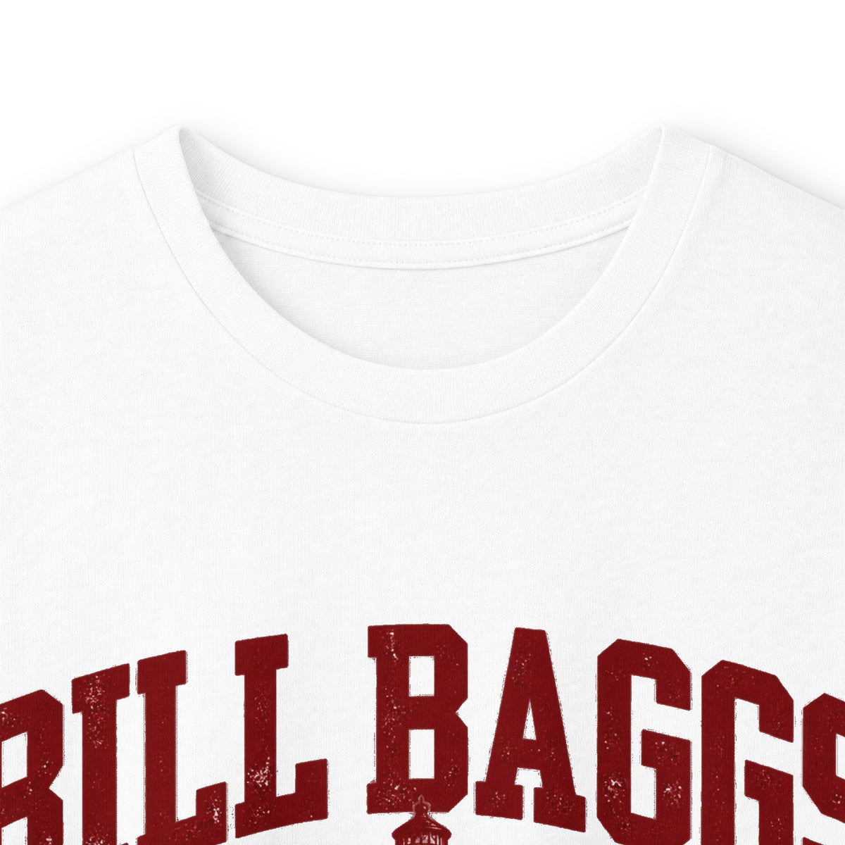 Bill Bags Cape Florida State Park- Destination Logo
