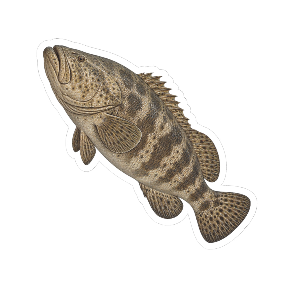 Goliath Grouper Kiss-Cut Sticker — Realistic Decal