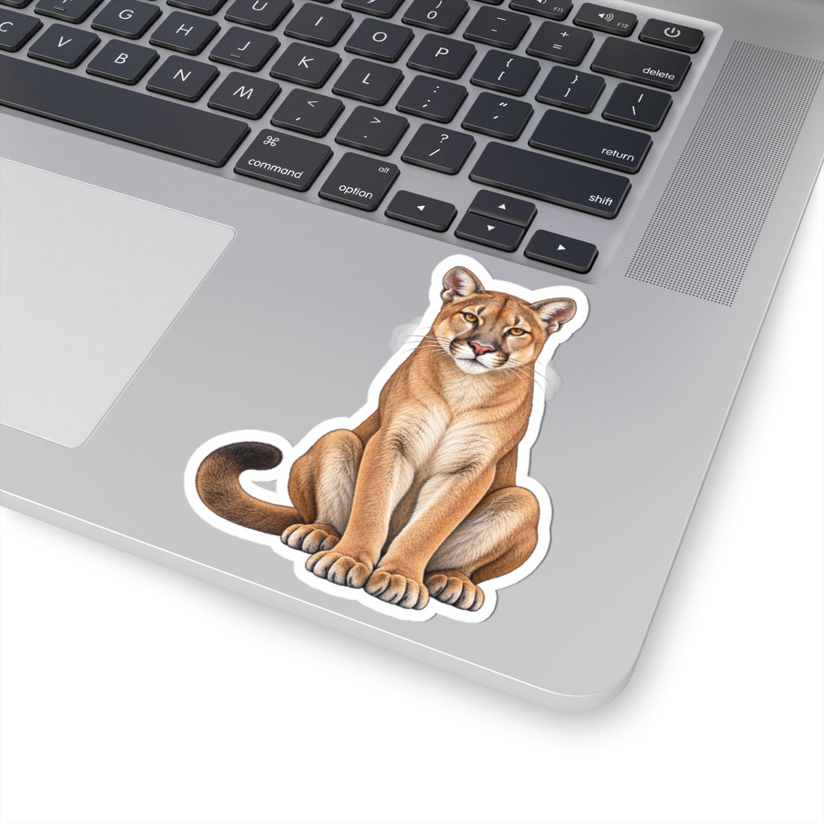 Florida Panther Kiss-Cut Sticker — Realistic Laptop Decal