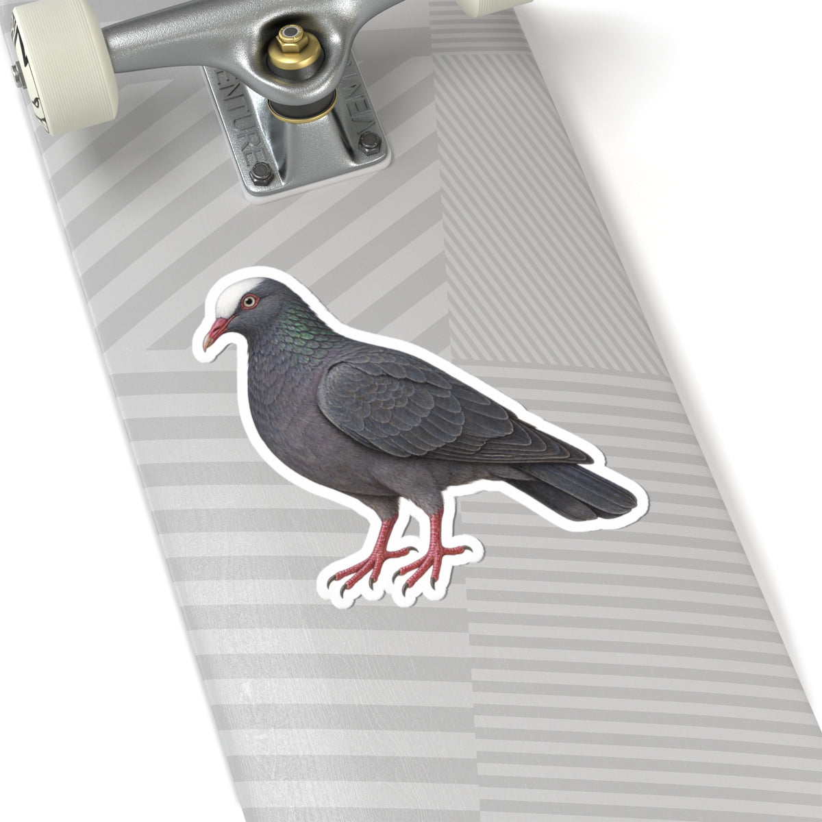 White Crowned Pigeon Kiss-Cut Sticker — Realistic Decal