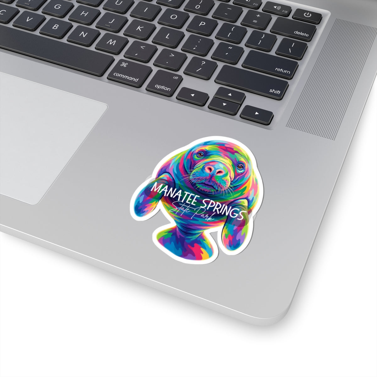 Manatee Springs Colorful Manatee Sticker — Kiss-Cut Vinyl Decal